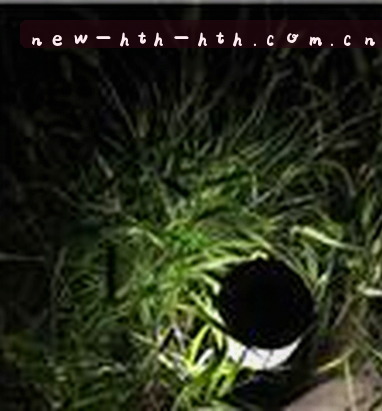 陈敏